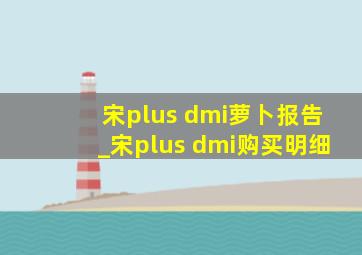 宋plus dmi萝卜报告_宋plus dmi购买明细